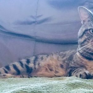 Meet your Posher, Traci